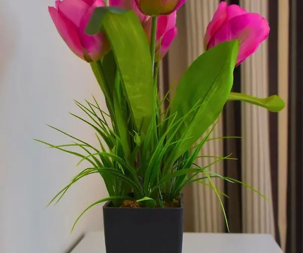 شقة Fuerteventura Sol